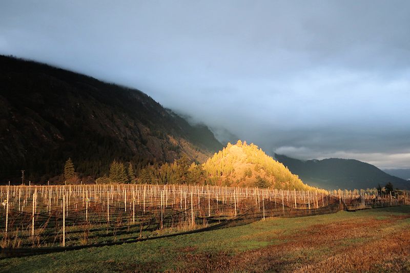 Cliff and Gorge Vineyards and Winery ~ Lillooet BC 
